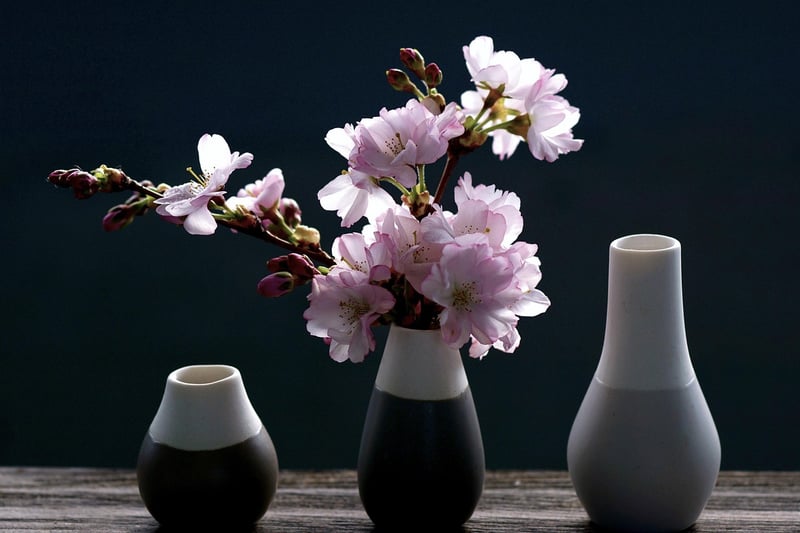 Celestial Blossoms
